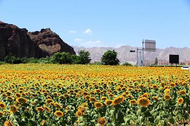 4人友尽合作《病毒特攻队》拯救互联网，Toylogic和Skybound联合巨献